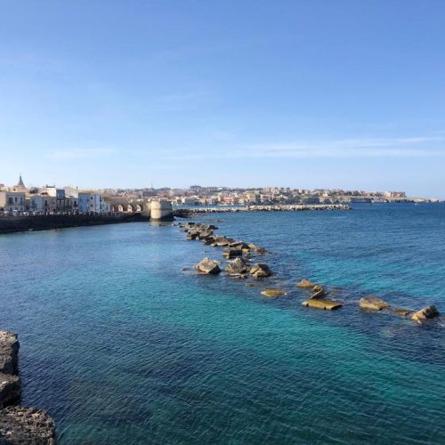 WhatsApp Image 2025-12-29 at 23.04.34